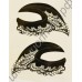 Цветная временная тату на глаза (на веко, бровь, висок) Eye Liner Sticker Shadow