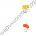 Флуоресцентные (светящиеся в темноте) серьги