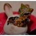 Кольцо Eye Fox Ring 18K Real Gold Plated 