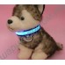 Светящийся ошейник (led collar)