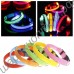 Светящийся ошейник (led collar)