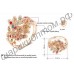 Кольцо 18K Rose Gold Plated Drill Peacock Ring Nice