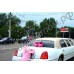 Генератор мыльных пузырей на свадебный автомобиль: продажа, прокат (аренда)